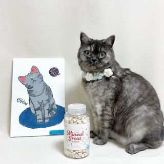 프롬씨 미네랄 소고기트릿 / 미네랄 치킨트릿 / 미네랄 북어트릿 (3가지 상품 중 랜덤 1가지 상품 랜덤 발송) — 5점을 준 리뷰어가 2022년 11월 올린 사용 사진