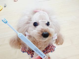 미니코코님이 올린 리뷰 사진 1