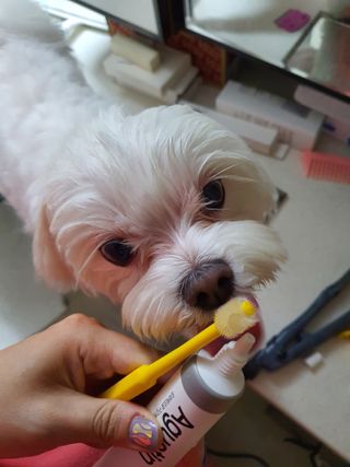 단츄♡님이 올린 리뷰 사진 2