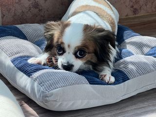 청화님이 올린 리뷰 사진 1