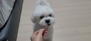 쏘이님이 올린 리뷰 사진 3