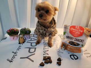 별앤별님이 올린 리뷰 사진 2