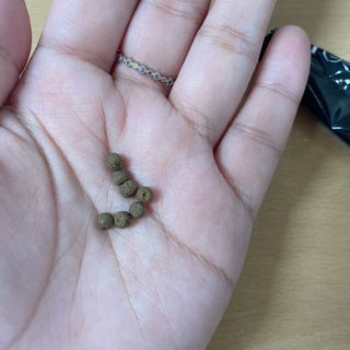 새롬바이오 리생 [미쾌변] 차전자피 식이섬유 건강기능식품 3팩 — 5점을 준 리뷰어가 2021년 6월 올린 사용 사진