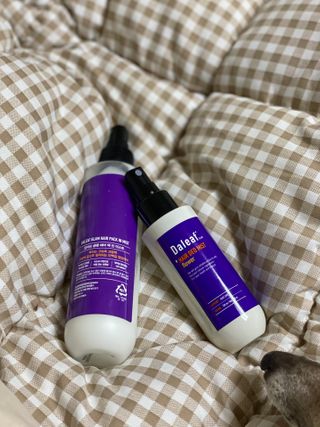 달리프 글램 헤어 데오미스트 100ml 라벤더 or 플라워 — 5점을 준 리뷰어가 2021년 1월 올린 사용 사진