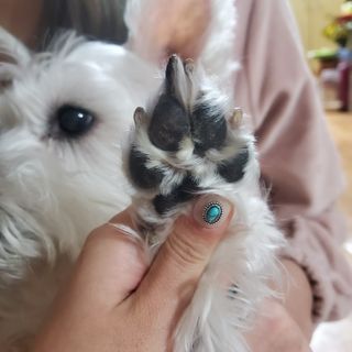 포도뀨님이 올린 리뷰 사진 3