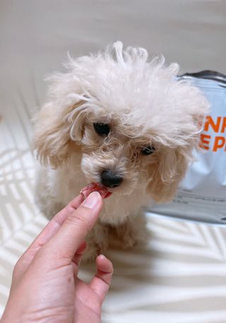 유타미양님이 올린 리뷰 사진 1