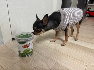 깡지님이 올린 리뷰 사진 1