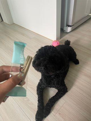져니님이 올린 리뷰 사진 3