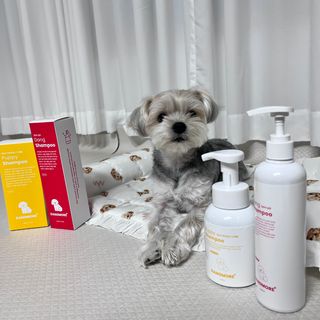 [댕모어 샴푸 2종] 댕샴푸 / 퍼피샴푸  2종 세트 (300ml) — 5점을 준 리뷰어가 2023년 8월 올린 사용 사진