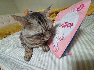 My Pet Care 천연단백질 관절건강에 개좋아 — 5점을 준 리뷰어가 2021년 2월 올린 사용 사진