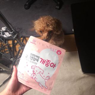 My Pet Care 천연단백질 관절건강에 개좋아 — 5점을 준 리뷰어가 2021년 2월 올린 사용 사진