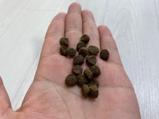 열일합시다님이 올린 리뷰 사진 3