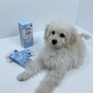 My Pet Care 장건강에 개좋아 — 5점을 준 리뷰어가 2021년 2월 올린 사용 사진