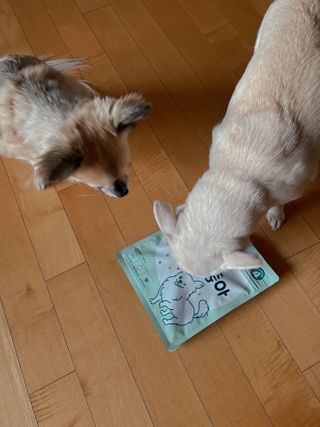 My Pet Care 천연단백질 눈건강에 개좋아 — 4점을 준 리뷰어가 2021년 1월 올린 사용 사진
