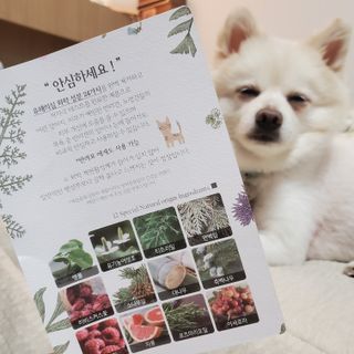 마리앤루이펫샴푸 [mari and louie pet shampoo] — 5점을 준 리뷰어가 2021년 5월 올린 사용 사진