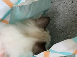 율집사님이 올린 리뷰 사진 2