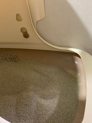 조이님이 올린 리뷰 사진 3