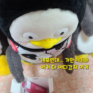필리브 비주얼 브이스틱 — 5점을 준 리뷰어가 2021년 6월 올린 사용 사진
