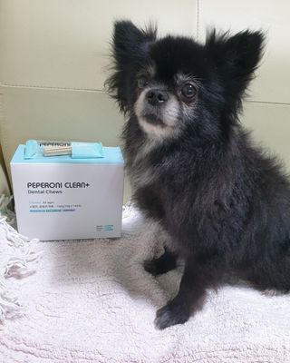 페페로니 클린플러스 덴탈치킨껌 10g x 14p — 5점을 준 리뷰어가 2021년 7월 올린 사용 사진