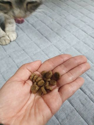 쌀보리냥님이 올린 리뷰 사진 2