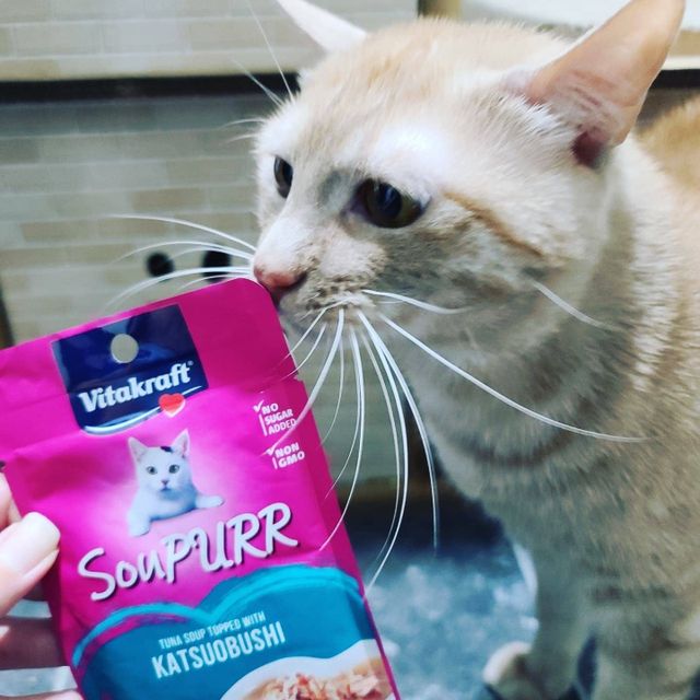 비타크래프트 고양이 수프 50g 3가지맛 x4팩씩 총 12팩 리뷰 사진