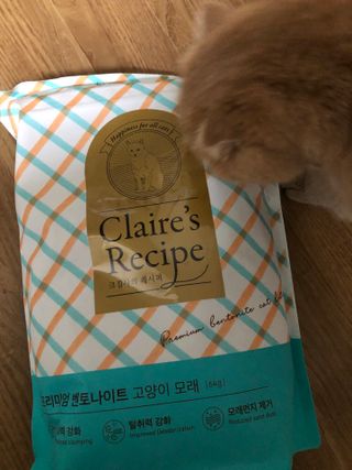 크집사의레시피 크집사의 레시피 - 시그니쳐 — 5점을 준 리뷰어가 2021년 11월 올린 사용 사진
