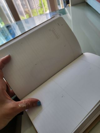 데이지맘님이 올린 리뷰 사진 2