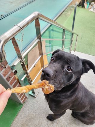 지지지햐님이 올린 리뷰 사진 2