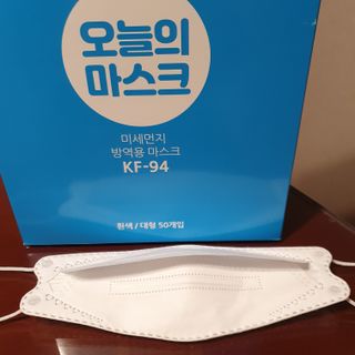 [심폐소생소] KF94 오늘의 마스크 대형 — 5점을 준 리뷰어가 2021년 12월 올린 사용 사진