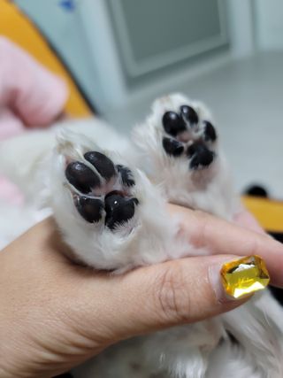 뽀블리님이 올린 리뷰 사진 3