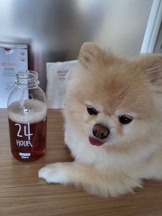 클린24시간 1BOX(5포) + 전용보틀(500ml) — 5점을 준 리뷰어가 2022년 10월 올린 사용 사진