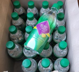 몽베스트 Montbest with Sparkling water Lemon OR Lime 20병(랜덤) — 4점을 준 리뷰어가 2021년 10월 올린 사용 사진