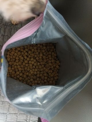 재간둥이님이 올린 리뷰 사진 2
