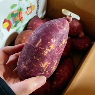 용용이님이 올린 리뷰 사진 2