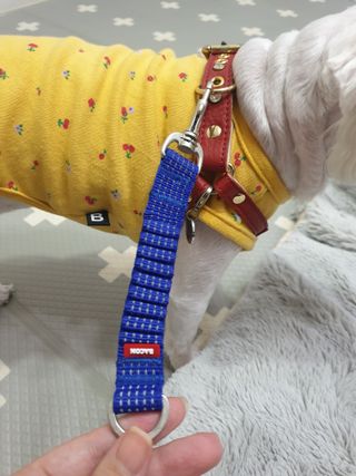 뽀야님이 올린 리뷰 사진 4