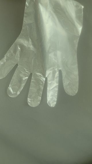 노플(NOPL) 노플 친환경 바이오 산화 생분해  항균 일회용 위생 비닐장갑 100매 + 지퍼백 소형, 대형 — 5점을 준 리뷰어가 2021년 9월 올린 사용 사진