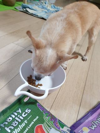 꽃사과님이 올린 리뷰 사진 3
