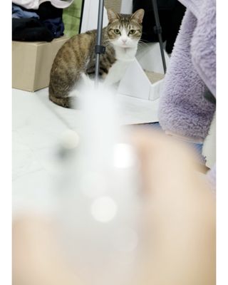 순이츠님이 올린 리뷰 사진 4