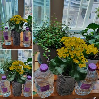 몽베스트 MONTBEST 1L 12입 — 5점을 준 리뷰어가 2022년 3월 올린 사용 사진