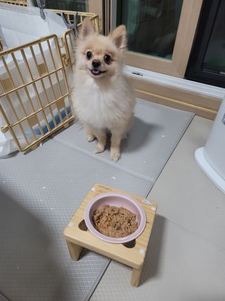 포비탄님이 올린 리뷰 사진 1