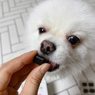오랑이님이 올린 리뷰 사진 1