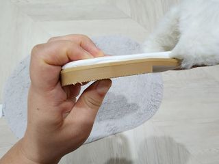 꼬리별님이 올린 리뷰 사진 2