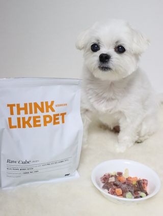 씽크라이크펫 큐브생식 1kg — 5점을 준 리뷰어가 2022년 11월 올린 사용 사진