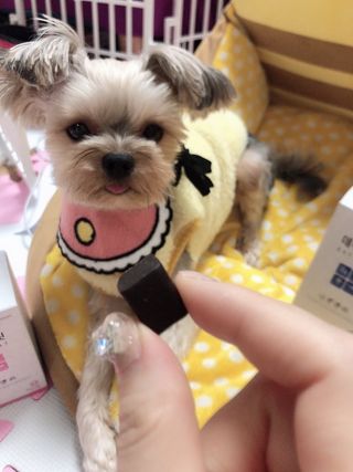 꿀님이 올린 리뷰 사진 1