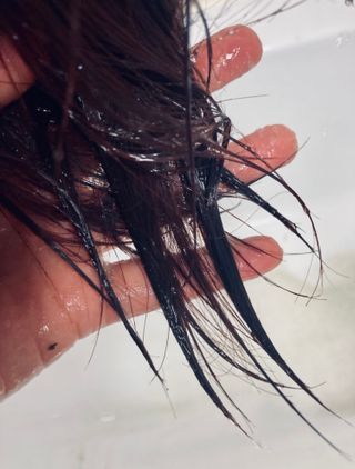 트리마이 안티 헤어로스 올인원 본드 앰플 200ml — 5점을 준 리뷰어가 2023년 2월 올린 사용 사진