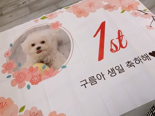 큐티윤님이 올린 리뷰 사진 2