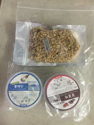 [브레이브퀸] 수제 그릭 요거트 + 그래놀라 세트 — 5점을 준 리뷰어가 2021년 12월 올린 사용 사진