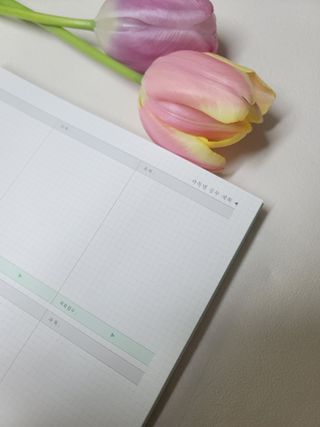 룡쓰스토리님이 올린 리뷰 사진 2
