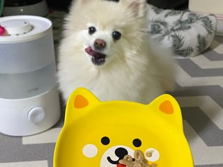 은희와정연님이 올린 리뷰 사진 3