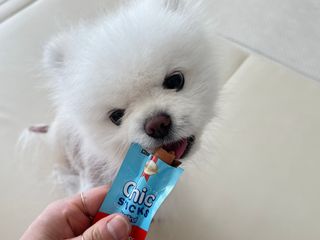 sunny님이 올린 리뷰 사진 2